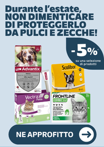 Durante l&rsquo;estate, non dimenticare di proteggerlo da pulci e zecche! 