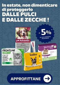 In estate, non dimenticare di proteggerlo dalle pulci e dalle zecche !