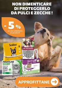 Non dimenticare  di proteggerlo da pulci e zecche ! 