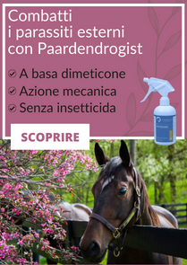 Combatti i parassiti esterni con Paardendrogist