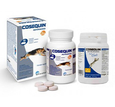 Cosequin