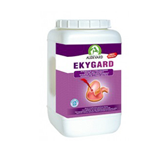 Ekygard
