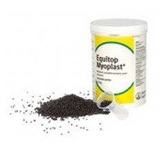 Equitop
