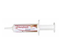 Horsyboost