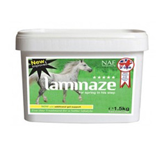 Laminaze