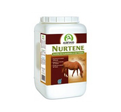 Nurtene