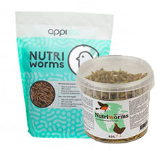 Royal Canin Size Health Nutrition