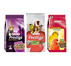 Prestige