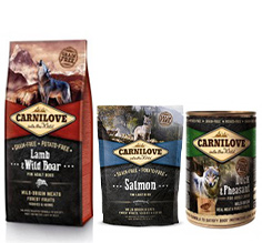 Carnilove Adult