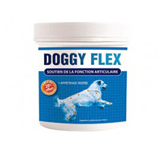 Doggy Flex