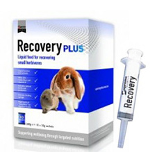 Recovery
