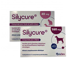 Silycure