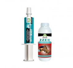 Zzen