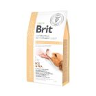 Brit Vet Diet Dog Hepatic Senza Cereali 2 kg