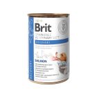 Brit Vet Diet Dog & Cat Recovery  Senza Cereali 6 x 400 g