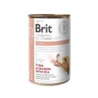 Brit Vet Diet Dog Renal Senza Cereali 6 x 400 g
