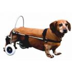 Carrello Canis Mobile per cani paralizzati alle zampe posteriori PM