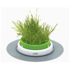 Cat It Senses Grass Planter - Vaso per erba gatta
