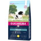 Eukanuba Active Adult Medium Breed Pollo per Cane 15 kg