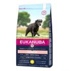 Eukanuba Caring Senior Large Breed per Cane 3 kg