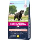 Eukanuba Senior Large Breed per Cane 15 kg
