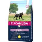 Eukanuba Growing Puppy Large Breed  con Pollo 12 kg