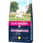 Eukanuba Growing Puppy Small Breed con Pollo 3 kg