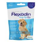 Flexadin Young Dog Maxi 60 tavolette