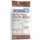 Forza10 Intestinal Colon Fase 2 Cane 4 kg