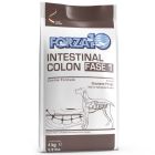 Forza10 Intestinal Colon Fase 1 Cane 4 kg