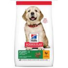 Hill's Science Plan Canine Puppy Large al pollo 16 kg
