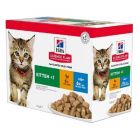 Hill's Science Plan Feline Kitten Multipack bustine 12 x 85 g