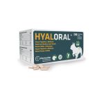 Virbac HYALORAL pour chien 360 cps- La Compagnie des Animaux
