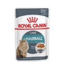 Royal Canin Feline Care Nutrition Hairball Care salsa 12 x 85 g