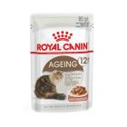 Royal Canin Feline Health Nutrition Ageing +12 in salsa 12 x 85 g