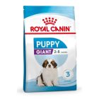 Royal Canin Giant Puppy - La Compagnie des Animaux