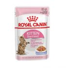 Royal Canin Kitten Sterilised bustina in gelatina 12 x 85 g
