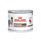 Royal Canin Veterinary Diet Recovery 195 g