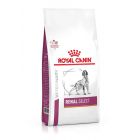 Royal Canin Vet Dog Renal Select 10 kg