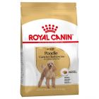 Royal Canin Caniche Adult - La Compagnie des Animaux