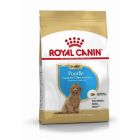 Royal Canin Caniche Junior - La Compagnie des Animaux