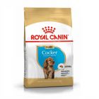 Royal Canin Cocker Junior - La Compagnie des Animaux
