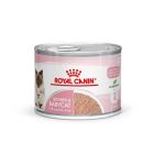 Royal Canin Feline Health Nutrition Mother & Babycat 12 x 195 g - La Compagnie des Animaux