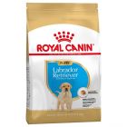 Royal Canin Labrador Junior - La Compagnie des Animaux