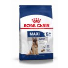 Royal Canin Maxi Adult + de 5 ans - La Compagnie des Animaux