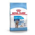 Royal Canin Maxi Junior Active - La Compagnie des Animaux