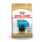 Royal Canin Rottweiler Junior - La Compagnie des Animaux