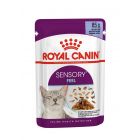 Royal Canin Sensory Feel straccetti in gelatina per Gatto 12 x 85 g