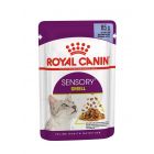 Royal Canin Sensory Smell bocconcini in gelatina per Gatto 12 x 85 g