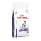 Royal Canin Vet Medium & Large Dog Dental 13 kg